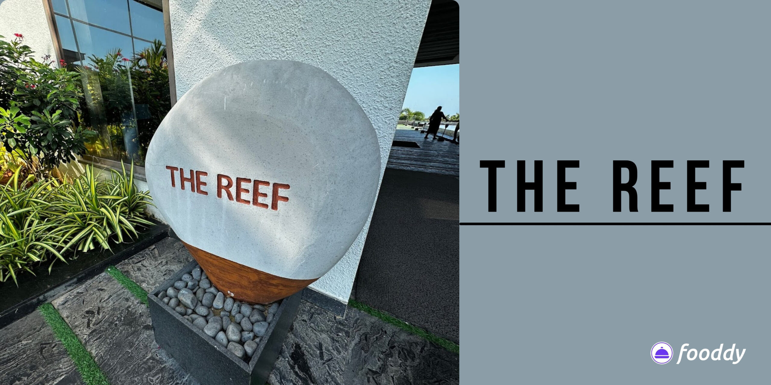 The Reef