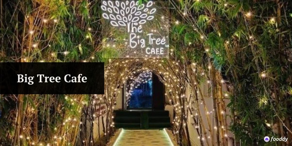 Big Tree Cafe - Restaurants Open Till 3 am in Gurgaon