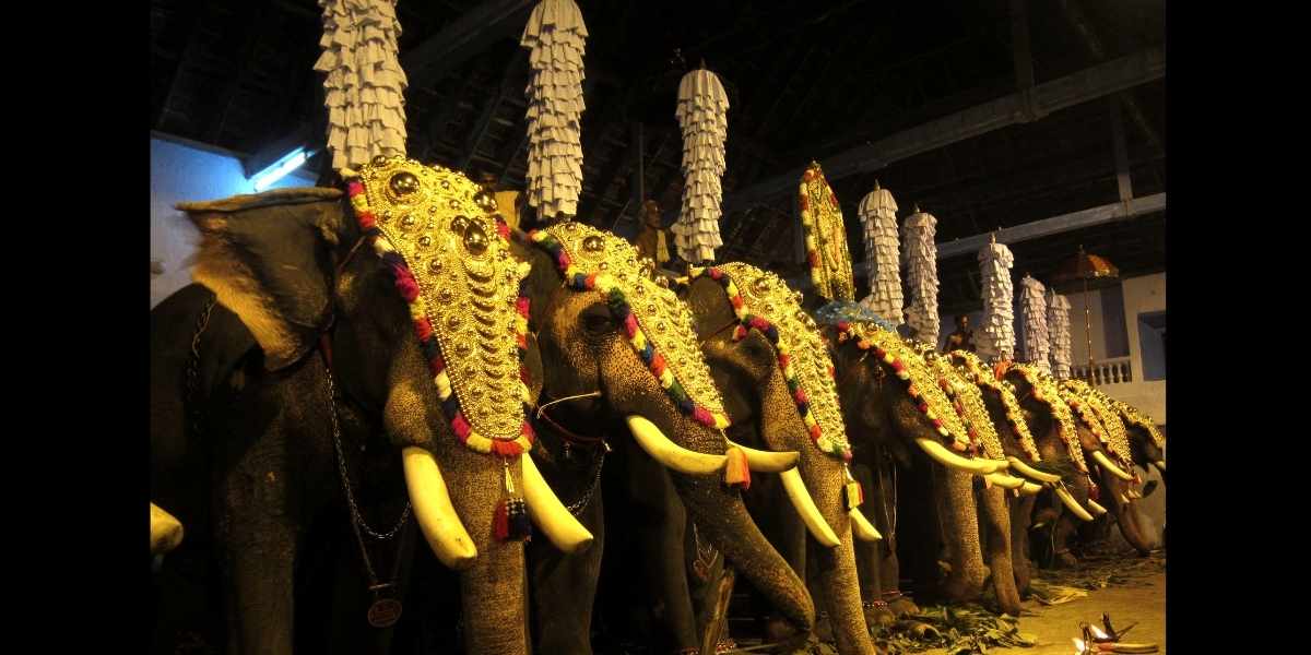 Jamboo Savari Mysore Dasara